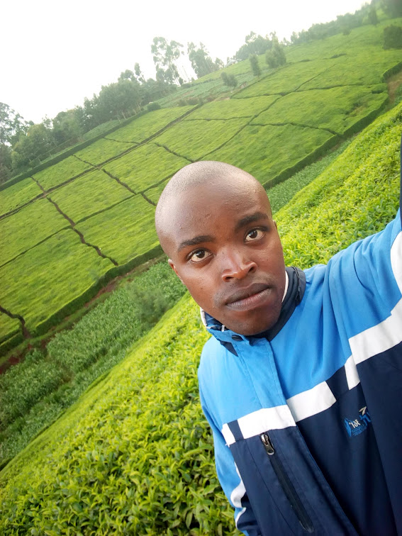 Image of Rukwaro at the farm